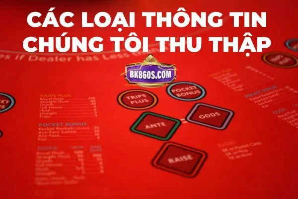 Các loại thong tin mà bk8 thu thập